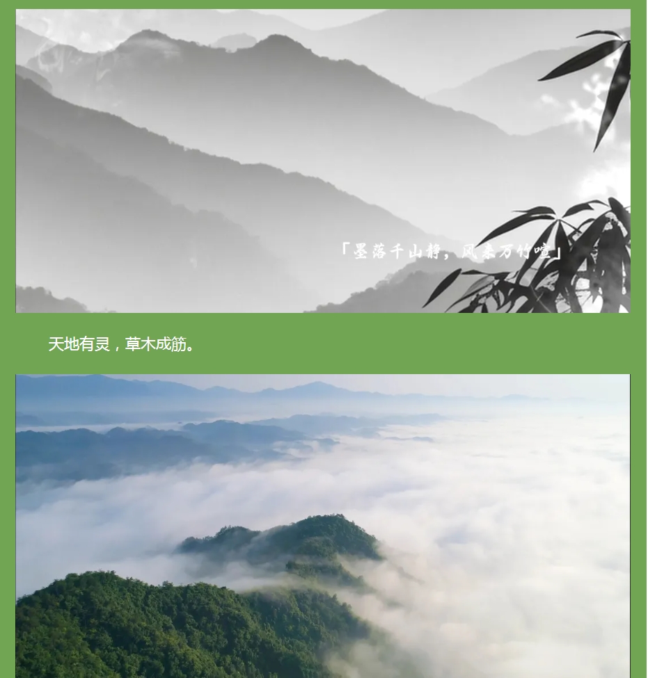 以竹為骨，筑就健康之境 —— 竹筋香韻凈化板
